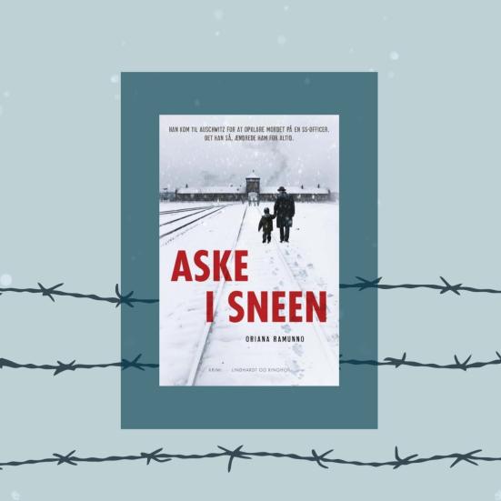 Bogens forside med illustrationer af pigtråd og snefald.