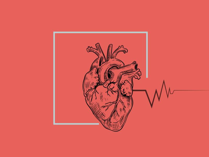 Et bankende hjerte med puls.