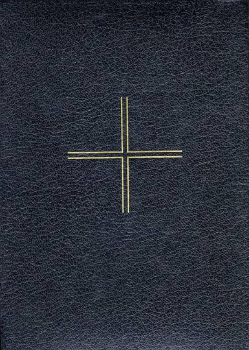 : Bibelen : den hellige skrifts kanoniske bøger (Autoriseret udgave 1992)